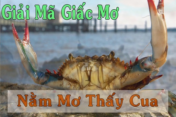 Con cua số mấy? Mơ thấy cua đánh số nào?