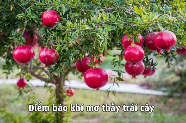 giấc mơ thấy trái cây