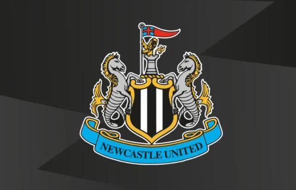 Newcastle United - Đội Bóng Áo Đen Trắng trình bày Sức Mạnh